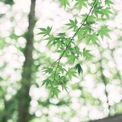 天博体育官网入口app下载截图